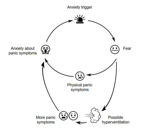 image with small graphics that have arrows pointing between them to form one horizontal oval within a vertical oval. The top image is labelled anxiety trigger and is a small image of a siren. an arrow comes from this to point to a small image of an uncertain face emoji labelled fear. An arrow comes from this to point to an image of a crying emoji labelled physical panic symptoms. An arrow comes from this to point to an image of a scared emoji labelled anxiety about panic symptoms. The arrow from this emoji points to the siren at the top, so altogether they make up the horizontal oval. Another arrow points from the uncertain face emoji labelled fear and goes down to a wind emoji labelled possible hyperventilation. An arrow points from this to another uncertain face emoji next to a crying emoji, both with the label more panic symptoms. An arrow points from these emojis up to scared emoji, forming the vertical oval.