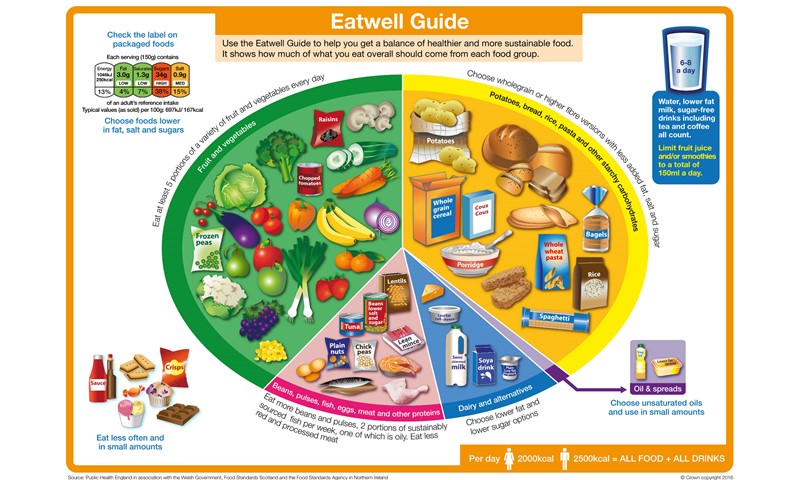 Essential Guide to Portion Sizes, Nutrition